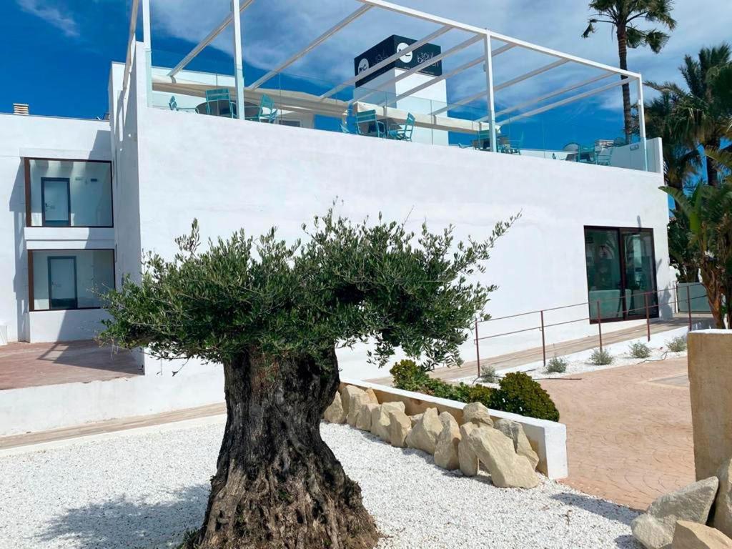 Soul Beach Hotel By Mc - Adults Recommended Denia Dış mekan fotoğraf